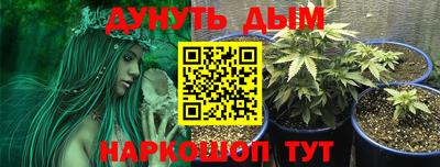 прущие грибы Ликино-Дулёво