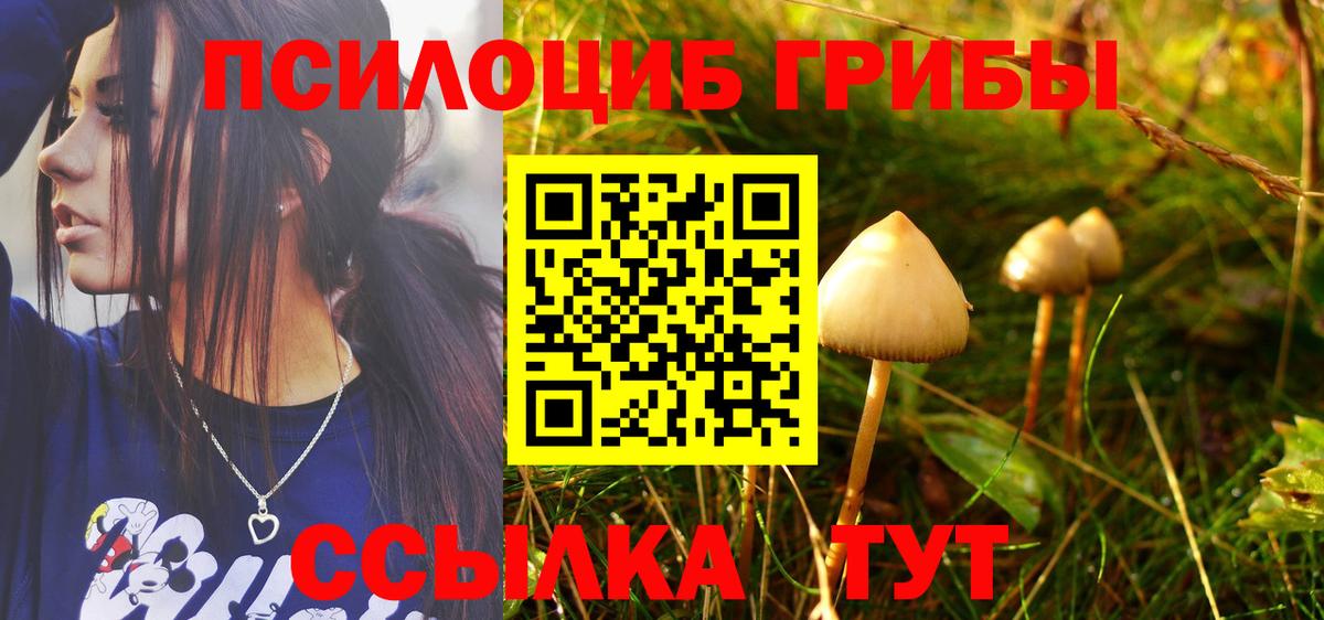 Галлюциногенные грибы прущие грибы Дзержинский